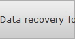 Data recovery for Dearborn data